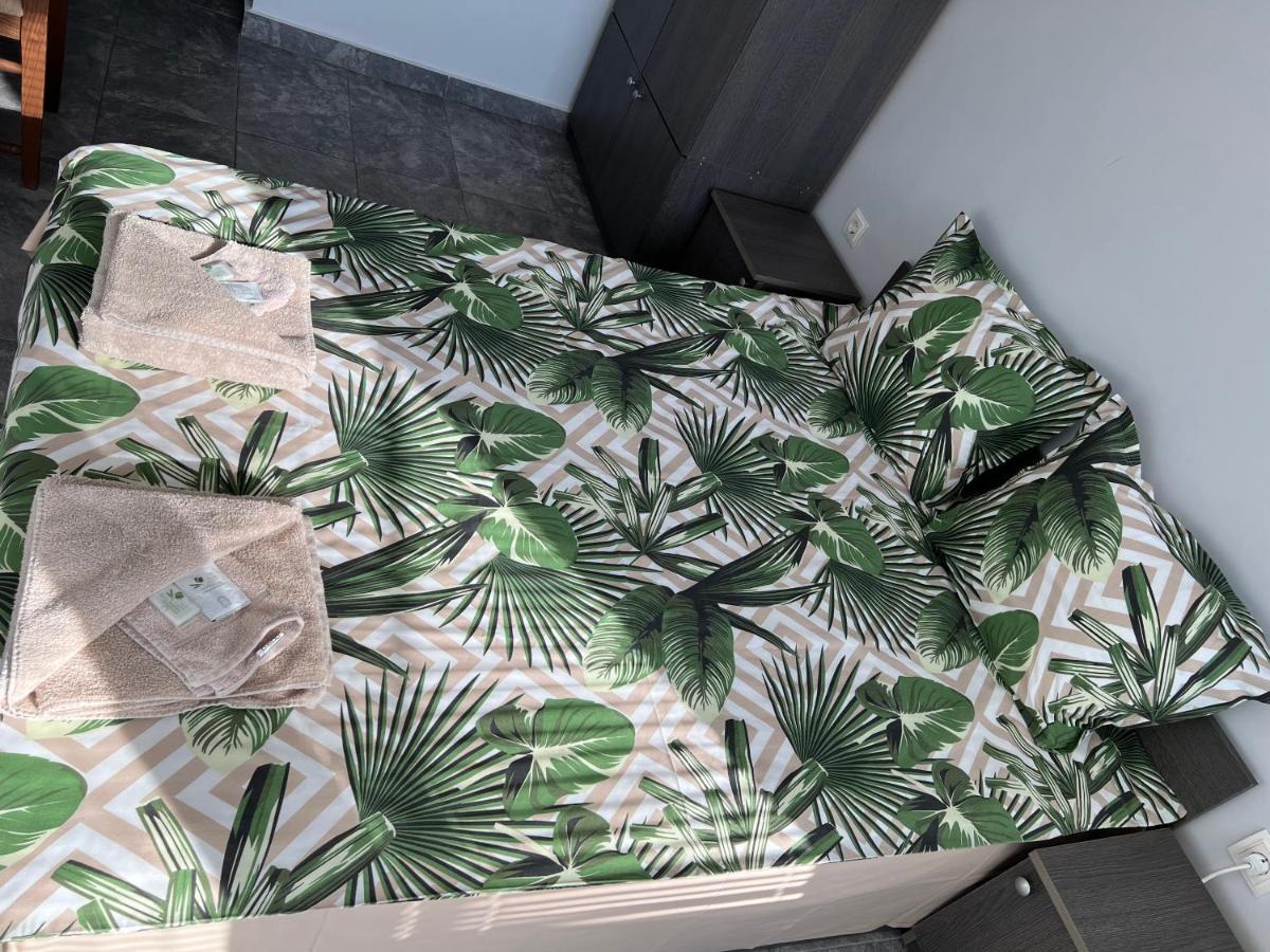 罗斯查酒店 大特尔诺沃 外观 照片